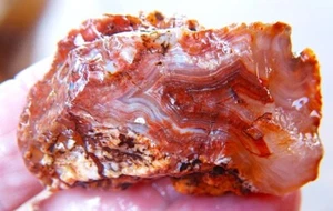 Agate, Earth Mind Agate, Natural Agate , Australian Rough 350 Ct Agate. - Picture 1 of 9