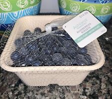 Fake Faux Food Blueberries in Fruit Basket Container New Sealed Package M9