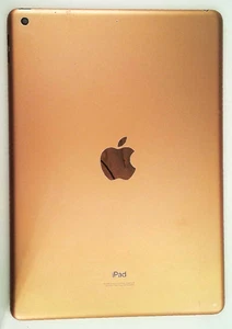 📱 Apple iPad Air 🔧 OEM Rear Housing / Back Cover (Gold) 🟥 ☆ - Picture 1 of 2