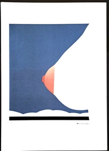 Tom Wesselmann -50x70 cm Limitierte Auflage Nr.33/450 - Bild 1 von 3