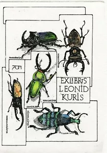 Insectos, Insectos Grabado Original Ex Libris Libro, Elly De Koster, Países Bajos - Imagen 1 de 3