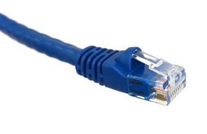 50 PACK LOT 0.5FT CAT6 Ethernet Patch Cable Blue RJ45 550Mhz UTP 0.15M - Picture 1 of 1