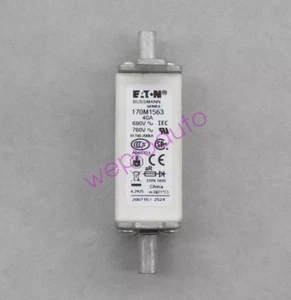 10 piezas/1 caja nuevos fusibles Eaton Moeller Bussmann 170M1563 40A 690V en caja marca - Imagen 1 de 3