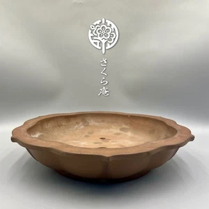 Maceta Bonsai Japonesa "YAMAAKI" W:36 cm 14,2 pulgadas/L:13,0 pulgadas/H:3,3 pulgadas de JAPÓN #265 - Imagen 1 de 12