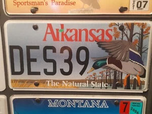 Placa de licencia de novedad Arkansas The Natural State DES39 rara. - Imagen 1 de 3