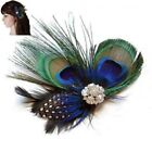 Accessories Feather Brooch Hair Clip Wedding Hat Wedding Headband Hair Clip