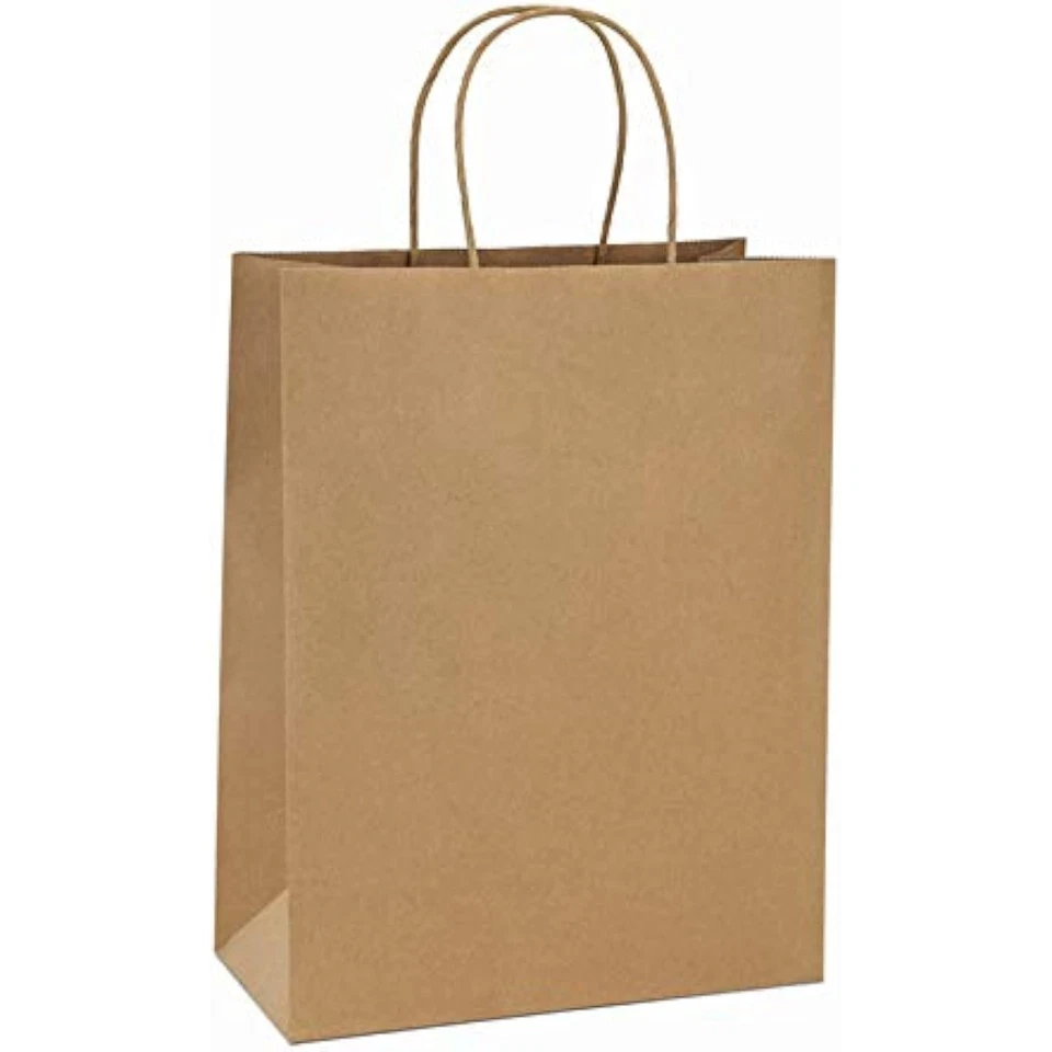 Bolsas de compras kraft 10x5x13 100 piezas bolsas de papel marrón con asas a granel, Foto 1 de 1