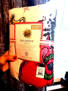 Disney Pottery Barn Grinch Christmas pillow Sham Dr Seuss Holiday Gift party Eur - Picture 1 of 15