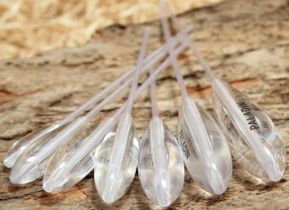 Sbirolino Forellenpose Sbirulino Spirolino Pose sinkend