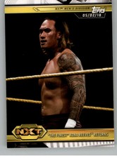 2019 Topps WWE NXT Wrestling Trading Cards Roster Bronze or Base Pick From List