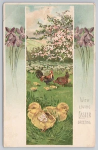 Saludo de Pascua escena al aire libre gallo gallina pollitos violetas c1906 UDB - Imagen 1 de 2