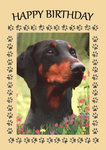 DOBERMAN HEAD STUDY DOG GREAT BIRTHDAY GREETINGS NOTE CARD - Foto 1 di 1