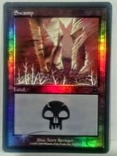 MTG -Magic- 1x Swamp #342 *FOIL* Mercadian Masks by Terry Springer, Like New, LP