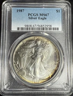 American Silver Eagle 1987 $1 graduación profesional MS 67 tonificación parcial pies y revoluciones Foto 1 de 4