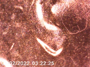 2021 D/D Lincoln Cent - DDO & DDR - Doubled Ear - ALLE BILDER - KOSTENLOSER VERSAND! *06 - Bild 1 von 4