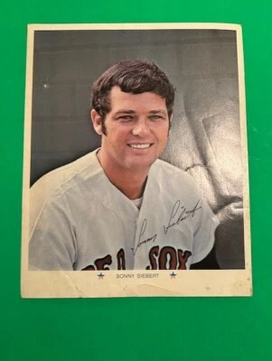 Foto de colección SONNY SIEBERT 8x10 de los Medias Rojas de Boston Jimmy Fund (estadísticas en la parte posterior)👀🔥🔥 Foto 1 de 2