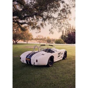 Shelby Cobra Art Poster #001 - High Resolution Vintage Classic Car Decor for Ent - Picture 1 of 12