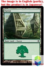 Magic: The Gathering MTG Jpver Foil Forest ROE (247) ROE Basic Land