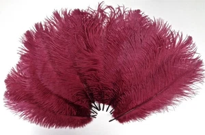 Burgandy Ostrich Feathers – 8–12 Inches (Set of 6) | Hand Selected by Lampligh - Picture 1 of 3