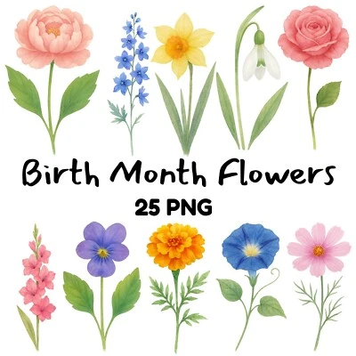 Birth Month Flowers Illustrations Watercolor Digital Download Clipart PNG - Image 1 of 4