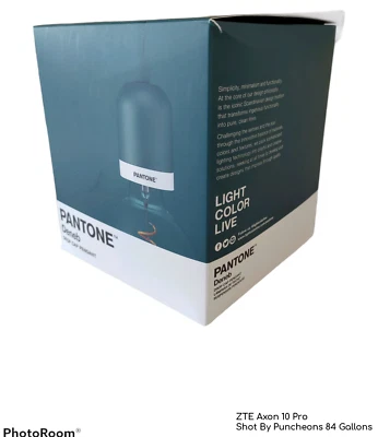 PANTONE Deneb Colgante Tapa Gota Luz en Verde Bosque Foto 1 de 4