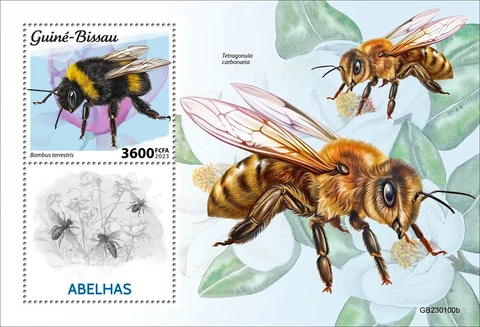 Bees MNH Stamps 2023 Guinea-Bissau S/S Cover