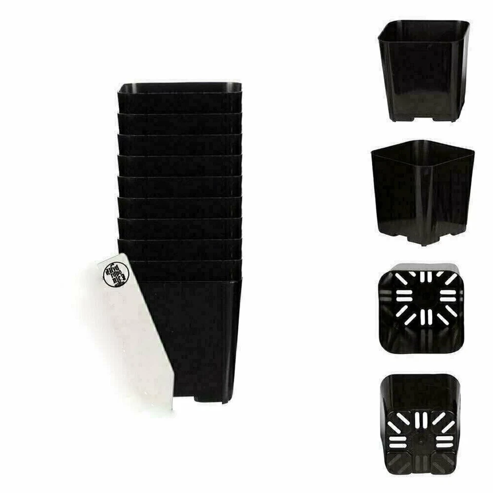 Macetas cuadradas negras de 2 pulgadas - Cantidad a granel - Macetas de plástico para flores/vivero y plantas Foto 1 de 1