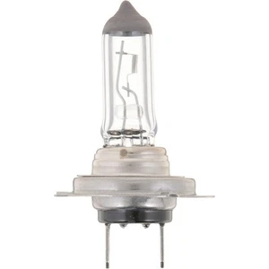 H7C1 Philips Headlight Bulb Lamp Driver or Passenger Side for MB Mercedes VW - Picture 1 of 9