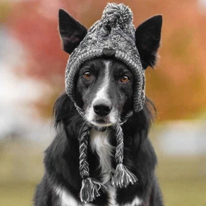 Knitting Pet Dog Hats Accessories Warm Outdoor Chihuahua Winter Windproof - Picture 1 of 11