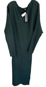 BANANA REPUBLIC Lenzing Ecovero Serene Sweater Dress - Size Small - Green - NWT - Picture 1 of 12