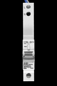 DORMAN SMITH 20 AMP CURVE B 10kA 30mA RCBO TYP AC KR1PB2030 - Bild 1 von 6