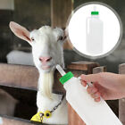 All-in-One Lamb Nursing Bottle Kit - 850ml
