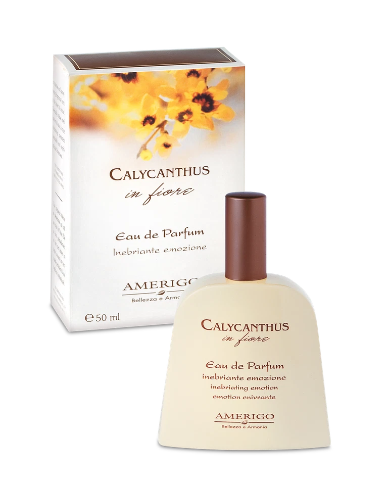 Profumo Calycanthus in fiore Eau de Parfum 50ml Amerigo - Immagine 1 di 1