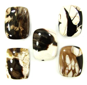 68.50 Ct Natural Peanut Wood Jasper Gemstone 15x20 mm Cushion Cab 5 Pc Lot-60633 - Picture 1 of 5