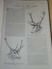 1901 Artikel Kennedy Rot Reh Norwegen Jagd Etc