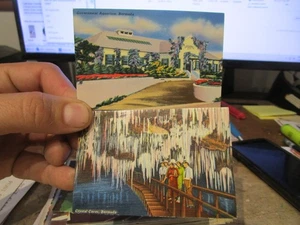 U25 Old FOREIGN Postcard BERMUDA Government Aquarium Crystal Caves Miniatures - Picture 1 of 2