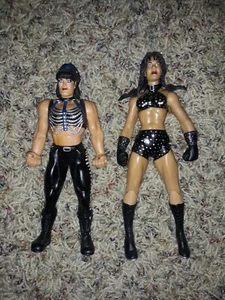 Jakks Pacific Inc Titan Tron WWE/WWF Chyna action figure - Picture 1 of 1