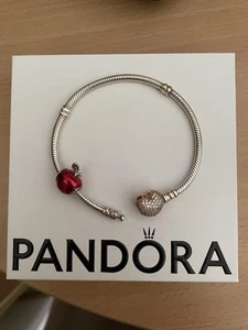 Pandora Armband inklusive Anhänger und Schachtel 18 cm 925 Sterling Silber - Bild 1 von 4