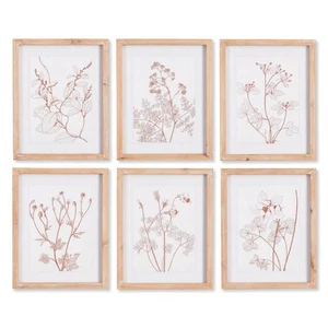 Botanicals In Blush Prints Set of 6 - Picture 1 of 4