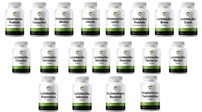 Comprimidos de suplemento probiótico Akkermansia Muciniphila para hombres y mujeres seleccionar Foto 1 de 4