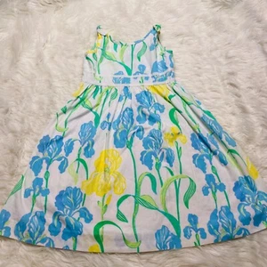 Lily Pulitzer Dress Girls 6X Booming Iris Print Sleeveless Lined Cotton - Picture 1 of 12