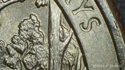 2017 D Ozark Riverways with Die Chips error. Buy & get a free coin. - Image 1 of 4