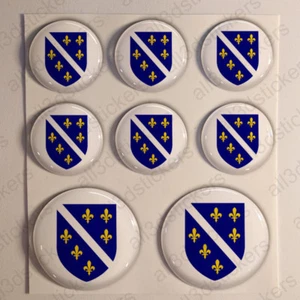 Pegatinas adhesivas de la Fuerza Aérea de Bosnia y Herzegovina 3D bandera cúpula de resina - Imagen 1 de 1