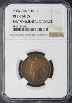 1884 Canada 1C Large Cent - NGC XF Details ENV DMG - ✪COINGIANTS✪ - Image 1 of 2