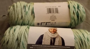 2 Caron Simply Soft Speckle White Sage 5oz 235yd 61017 294961 Discontinued - Picture 1 of 2