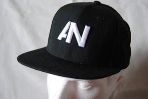 AWOLNATION EMBROIDERED LOGO BASEBALL CAP NEW OFFICIAL RUN HERE COME THE RUNTS - Picture 1 of 11