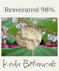 98% RESVERATROL EXTRACT (Japanese Knotweed) PREMIUM GRADE Polygonum cuspidatum - Picture 1 of 1