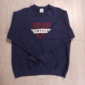 Vintage Kentucky Bluegrass State Sweatshirt Made In USA Size M Blue 90s - Picture 1 of 8