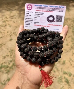 LAB CERTIFIED 5 Mukhi RUDRAKSHA Black Rudraksh Mala ROSARY 108+1 Prayer Beads - Picture 1 of 7