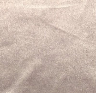 Pierre Frey "Organzino" Vison Silver Silk Blend Velvet- 4 Yards - Image 1 of 4
